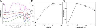 Immobilization and Evaluation of Penicillin G Acylase on Hydroxy and Aldehyde Functionalized Magnetic α-Fe2O3/Fe3O4 Heterostructure Nanosheets